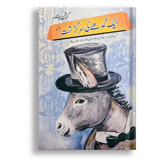 Aik Gadhy Ki Sargrisht (Normal Edition)
