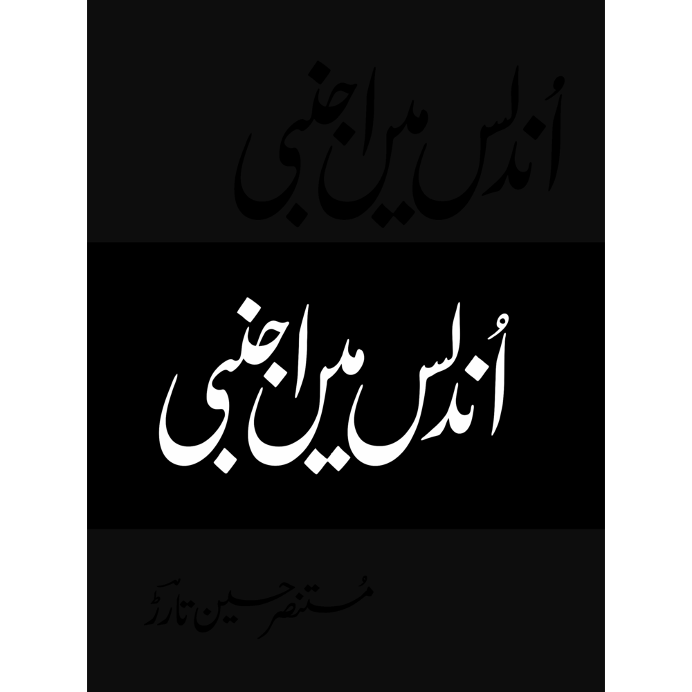 Undalis Mein Ajnabi (Deluxe Edition) - Mustansar Hussain Tarar