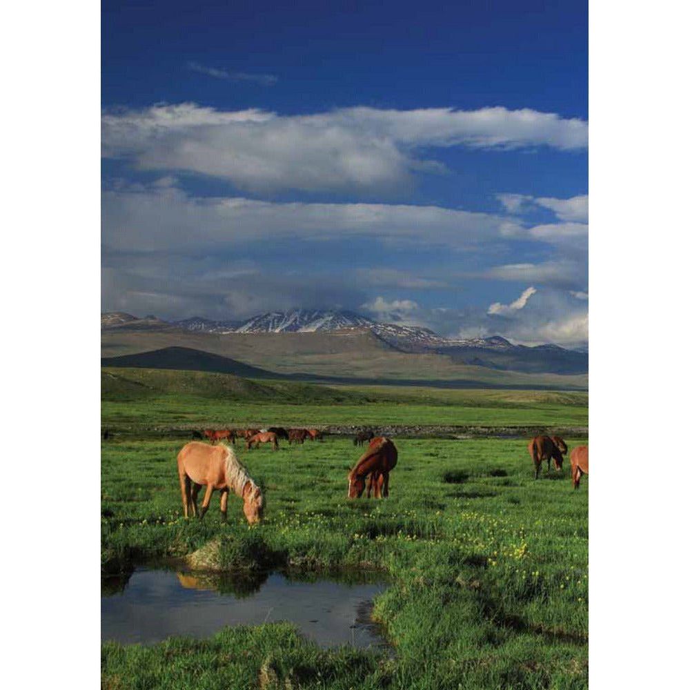 Deosai: Land Of The Giant